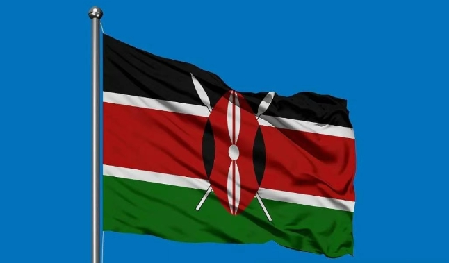 肯尼亚海关数据查询平台（附免费试用查询名额）